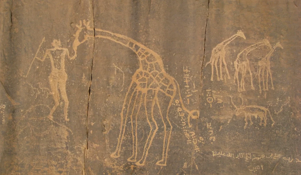 Représentations anciennes de girafes et de figures humaines dessinées sur une paroi rocheuse