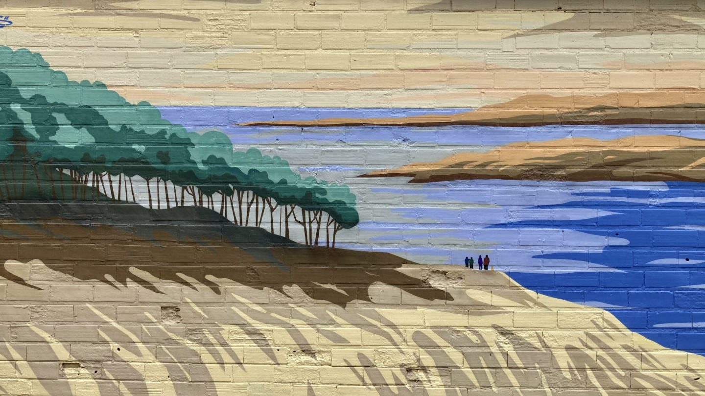 Détail de fresque artistique représentant le Banc d’Arguin et la Dune du Pyla en flat design.
