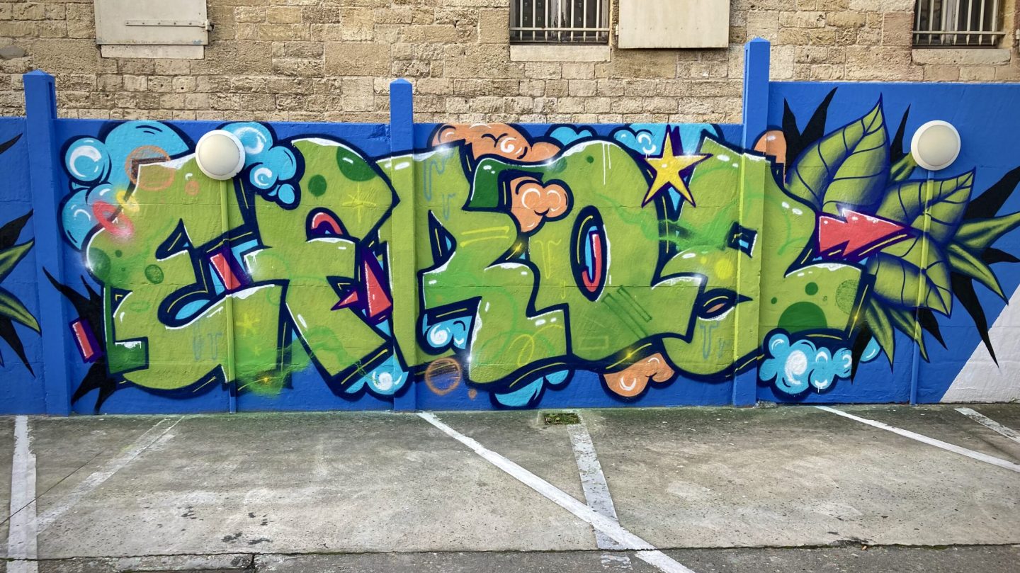 Lettrage graffiti vert finalisé sur mur bleu avec décors tropicaux et éléments graphiques street art à Bordeaux