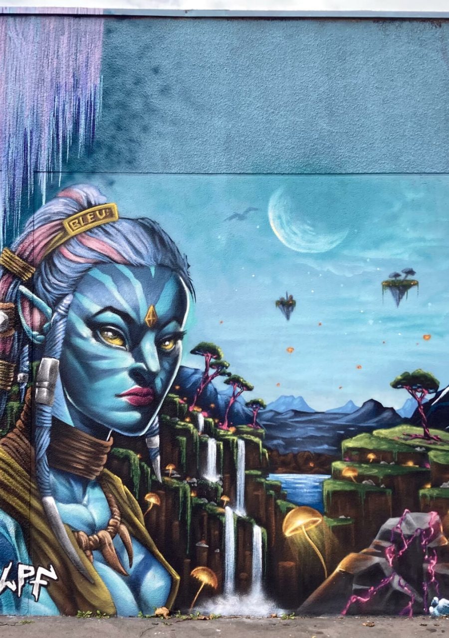 Fresque street art Pandora Avatar avec portrait Na’vi et paysage fantastique réalisée lors de la JAM D’ARC 25 à Cenon.