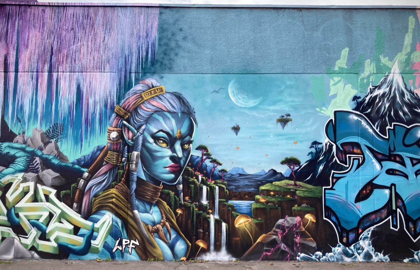 Portrait Na’vi avec paysage Pandora en arrière-plan - WOLS Street Art